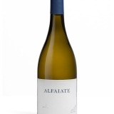 Garcias - Vinhos e Bebidas Espirituosas - VINHO ALFAIATE BRANCO 1,5L 1 Thumb