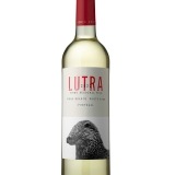 Garcias - Vinhos e Bebidas Espirituosas - VINHO ALORNA LUTRA BRANCO 2023 1 Thumb