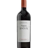 Garcias - Vinhos e Bebidas Espirituosas - Vinho PAGOS D'ANGUIX TINTO 2019 1 Thumb