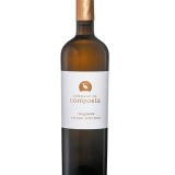 Garcias - Vinhos e Bebidas Espirituosas - VINHO HERDADE COMPORTA PRIVATE SELECTION VIOGNER BRANCO 2023 1 Thumb